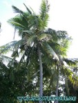 Malediven-067.jpg
