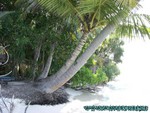 Malediven-069.jpg