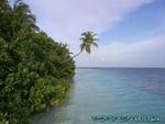Malediven-076.jpg