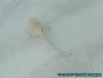 Malediven-080.jpg