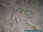Malediven-083.jpg