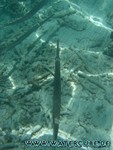 Malediven-110.jpg