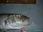 Malediven-413.jpg