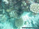 Malediven-597.jpg