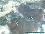 Malediven-609.jpg