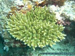 Malediven-619.jpg