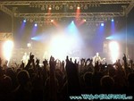 BOSC-50.jpg