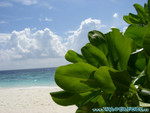 Reethi-Beach-2007-019.jpg