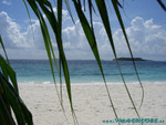 Reethi-Beach-2007-020.jpg