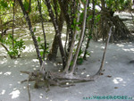 Reethi-Beach-2007-021.jpg