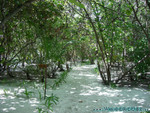 Reethi-Beach-2007-024.jpg