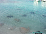 Reethi-Beach-2007-025.jpg