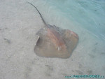Reethi-Beach-2007-027.jpg