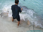 Reethi-Beach-2007-028.jpg