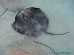 Reethi-Beach-2007-030.jpg