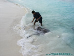 Reethi-Beach-2007-031.jpg