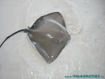 Reethi-Beach-2007-032.jpg