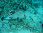 Reethi-Beach-2007-081.jpg