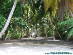 Reethi-Beach-2007-093.jpg