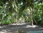 Reethi-Beach-2007-095.jpg