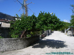 Reethi-Beach-2007-096.jpg