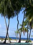 Reethi-Beach-2007-098.jpg