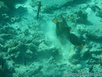 Reethi-Beach-2007-101.jpg