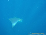 Reethi-Beach-2007-108.jpg