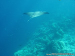 Reethi-Beach-2007-109.jpg