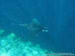 Reethi-Beach-2007-110.jpg