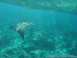 Reethi-Beach-2007-112.jpg