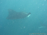 Reethi-Beach-2007-116.jpg