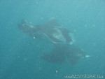 Reethi-Beach-2007-117.jpg