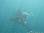 Reethi-Beach-2007-118.jpg