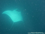 Reethi-Beach-2007-120.jpg