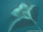 Reethi-Beach-2007-124.jpg