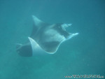 Reethi-Beach-2007-127.jpg