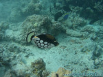 Reethi-Beach-2007-165.jpg