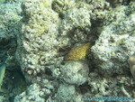 Reethi-Beach-2007-170.jpg