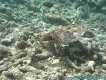 Reethi-Beach-2007-171.jpg