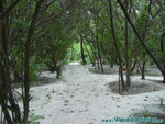 Reethi-Beach-2007-185.jpg