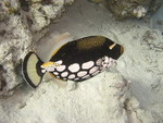 Reethi-Beach-2007-201.jpg