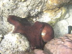 Reethi-Beach-2007-203.jpg