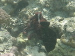 Reethi-Beach-2007-204.jpg
