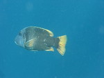 Reethi-Beach-2007-205.jpg