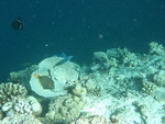 Reethi-Beach-2007-207.jpg