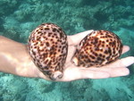 Reethi-Beach-2007-209.jpg