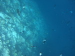 Reethi-Beach-2007-210.jpg