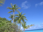 Reethi-Beach-2007-253.jpg