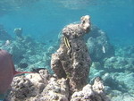 Reethi-Beach-2007-255.jpg